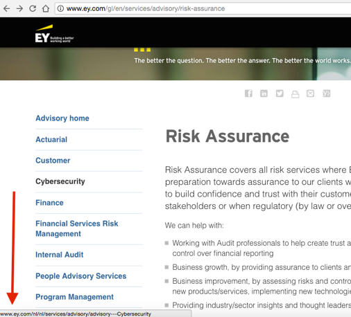 ernst-young-different-language-example